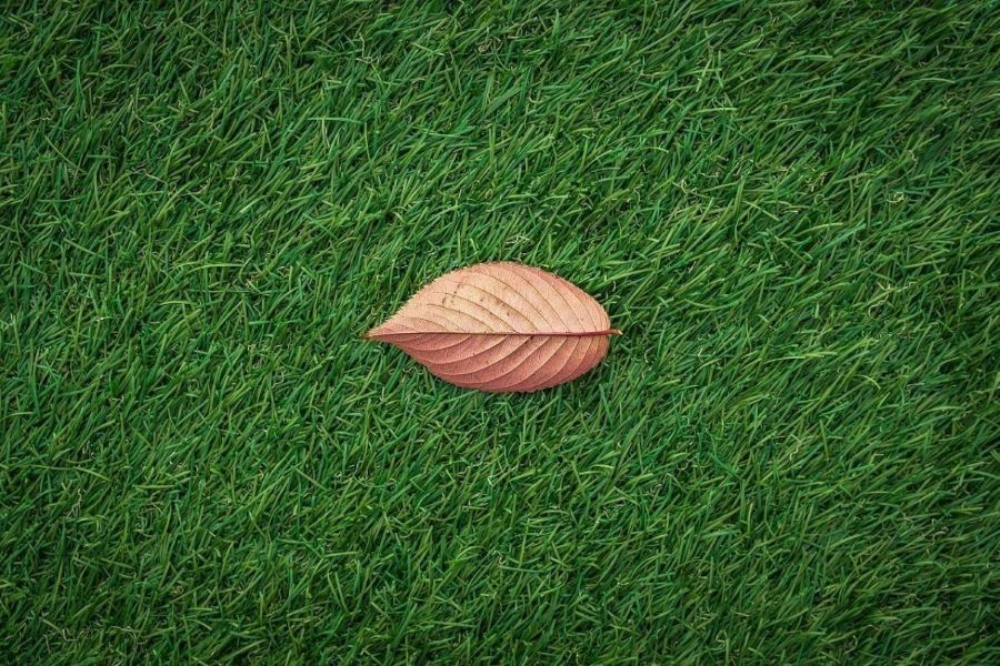An autumn leaf on an artificial lawn